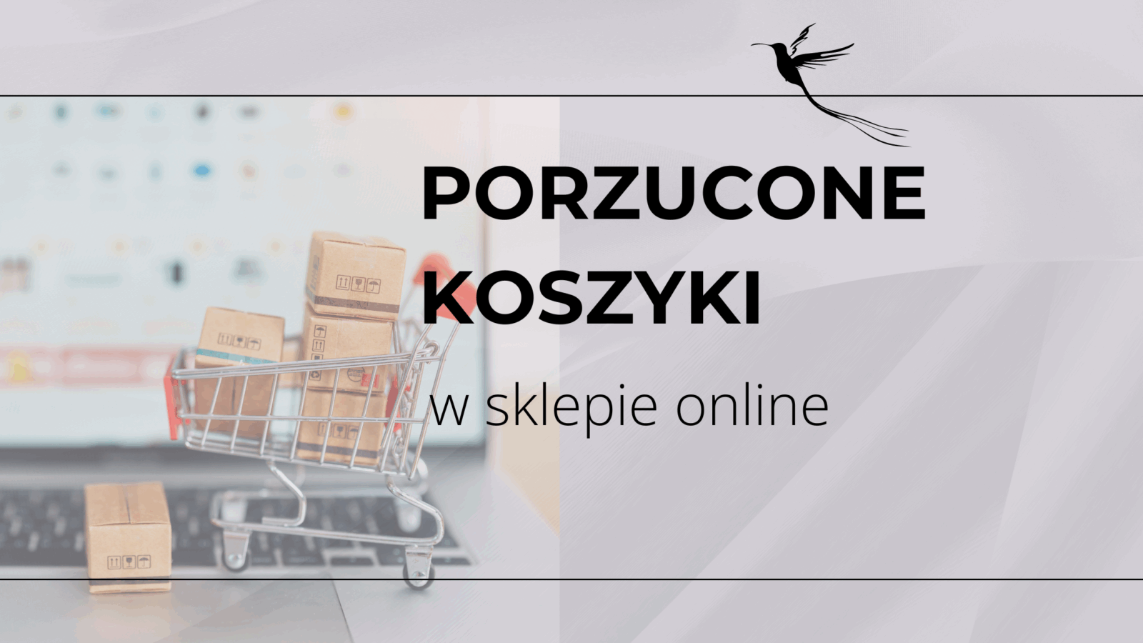 porzucone koszyki w sklepie online